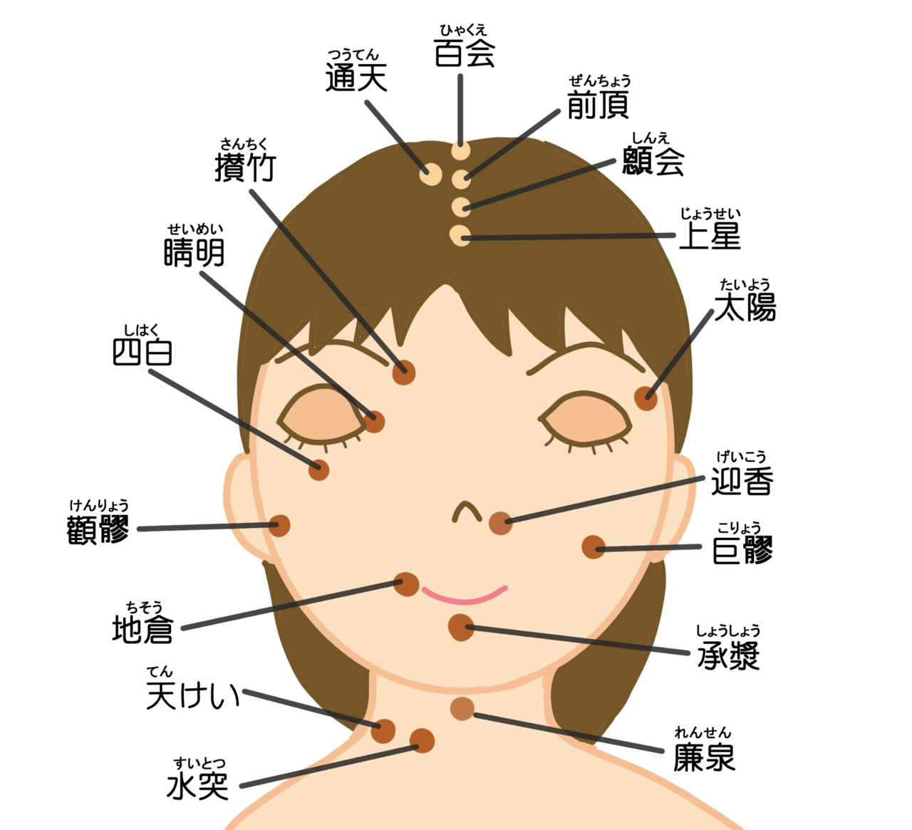 顔のツボ（経穴）