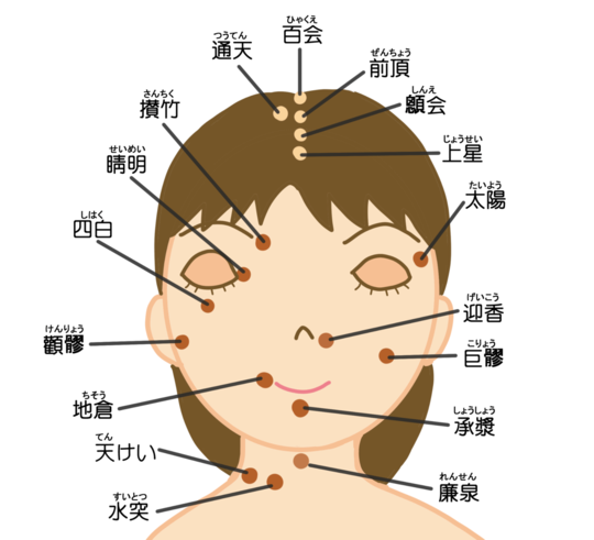 顔のツボ（経穴）